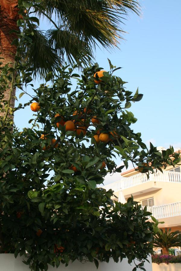 Nissi Villa Agia Napa Exterior foto